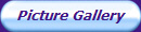 Picture Gallery